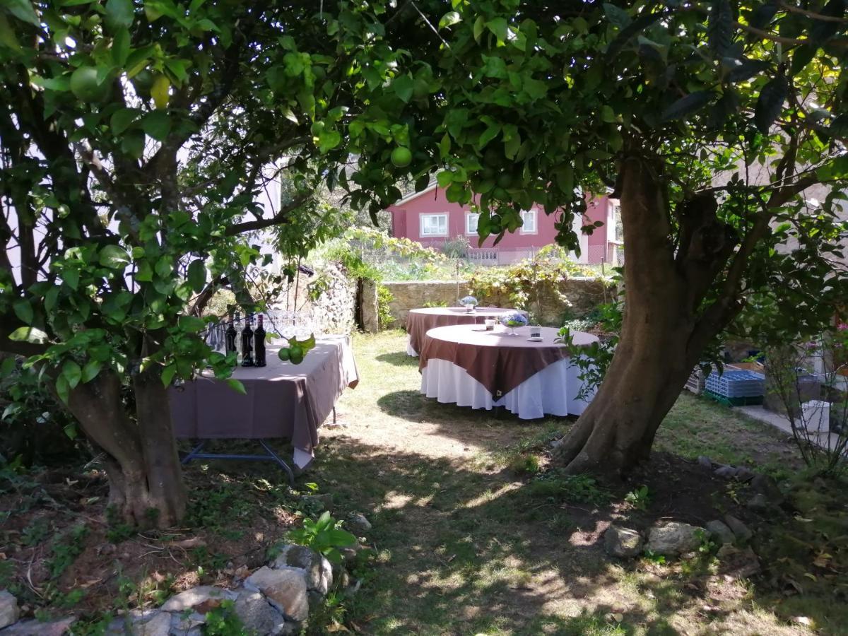 O Cruceiro Guest House Valmaior ภายนอก รูปภาพ